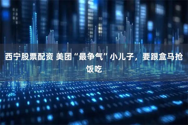 西宁股票配资 美团“最争气”小儿子，要跟盒马抢饭吃